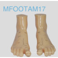 Acupuncture Model (Foodam17)